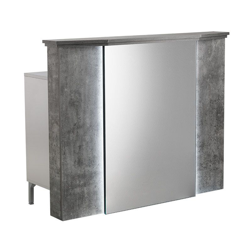 Fuji Mirror Reception Fund