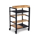 chariot_de_coloration_rangement_SKYE_dos_45°_malys_equipements