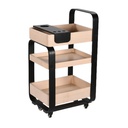 GISELE Coloring and Storage Cart
