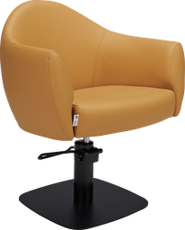 AUDREY Fauteuil Coiffure