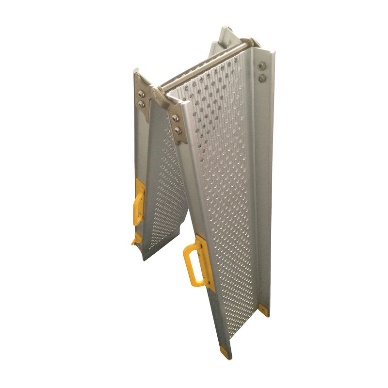 Paire de rampes télescopiques Ergo +
