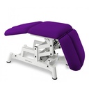 Fauteuil d'Examen Électrique SE-1230-P