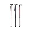 Fancy metal cane