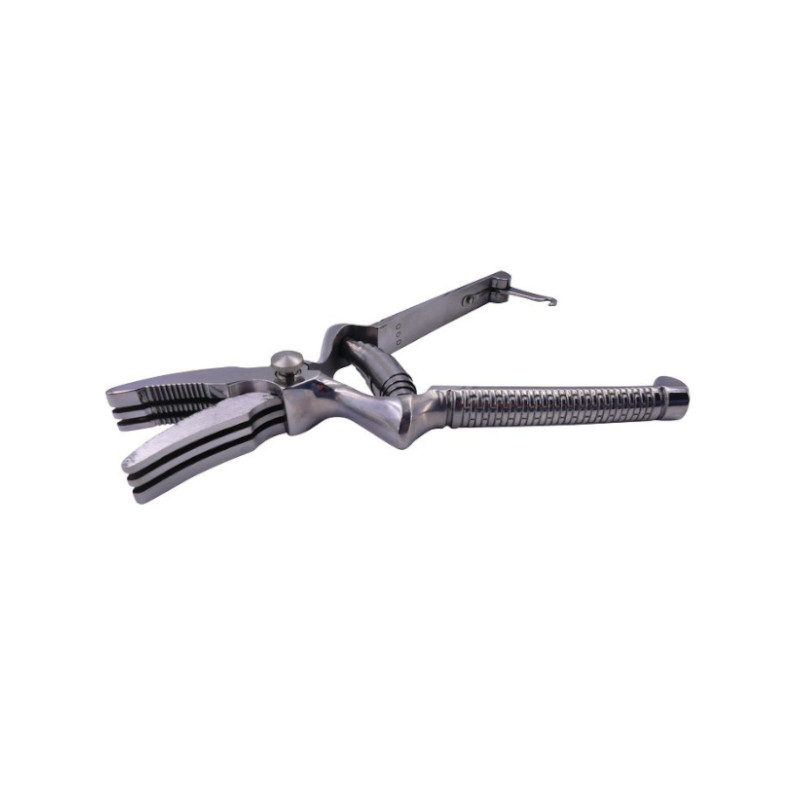 Masticateur INOX
