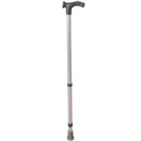 Anatomical Cane