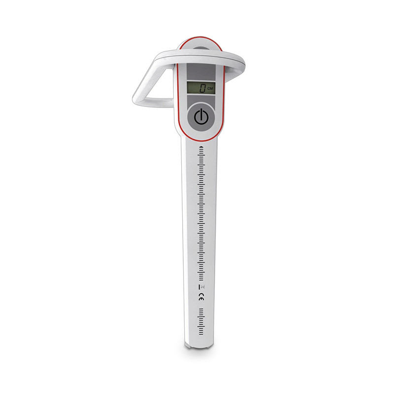 Folding Growth Chart 5003