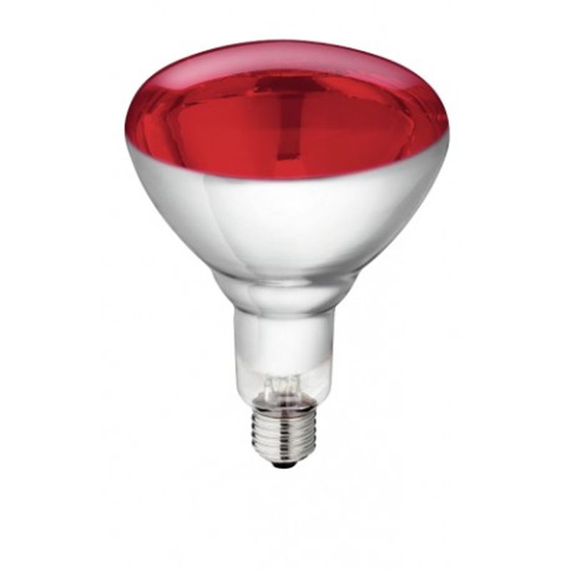 Ampoule de rechange IR 250W