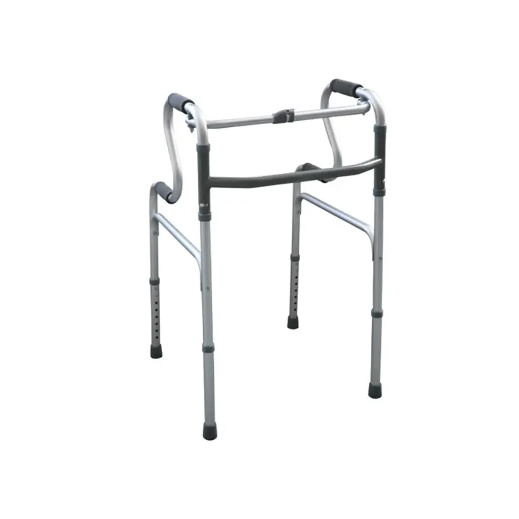 Cadre de marche Vienne