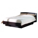 Lit Releveur Médicalisé Double EURODESIGN 