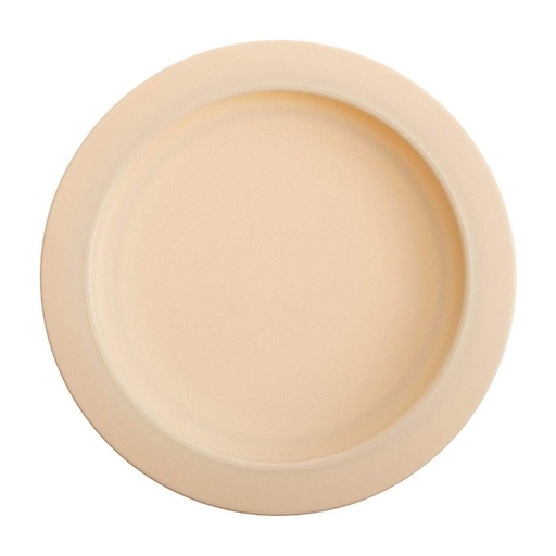 [081004670] Assiette avec Rebord Intégré