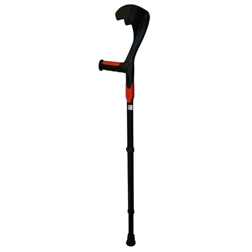 [1322] ENGLISH CANE AD ELLIPSE