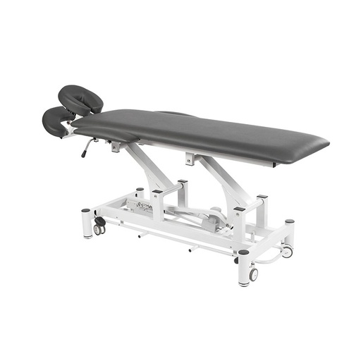 [EL11AR] ISHA electric monoplane physiotherapy table