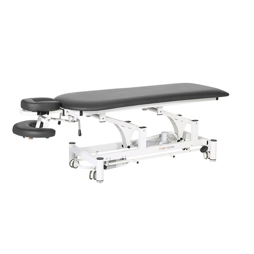 [EL11] VIGOS Electric MONOPLAN COADTHOPLANE