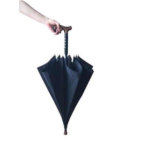 [816058] Canne parapluie