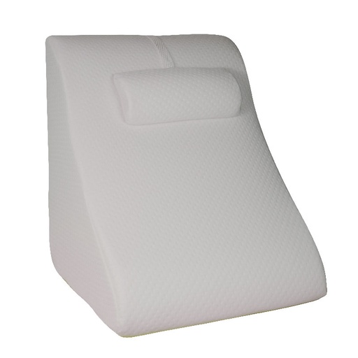 [855038] Visco-elastic foam backrest