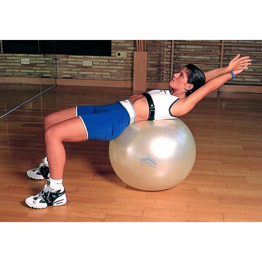 Ballon fitness GYMNIC PLUS